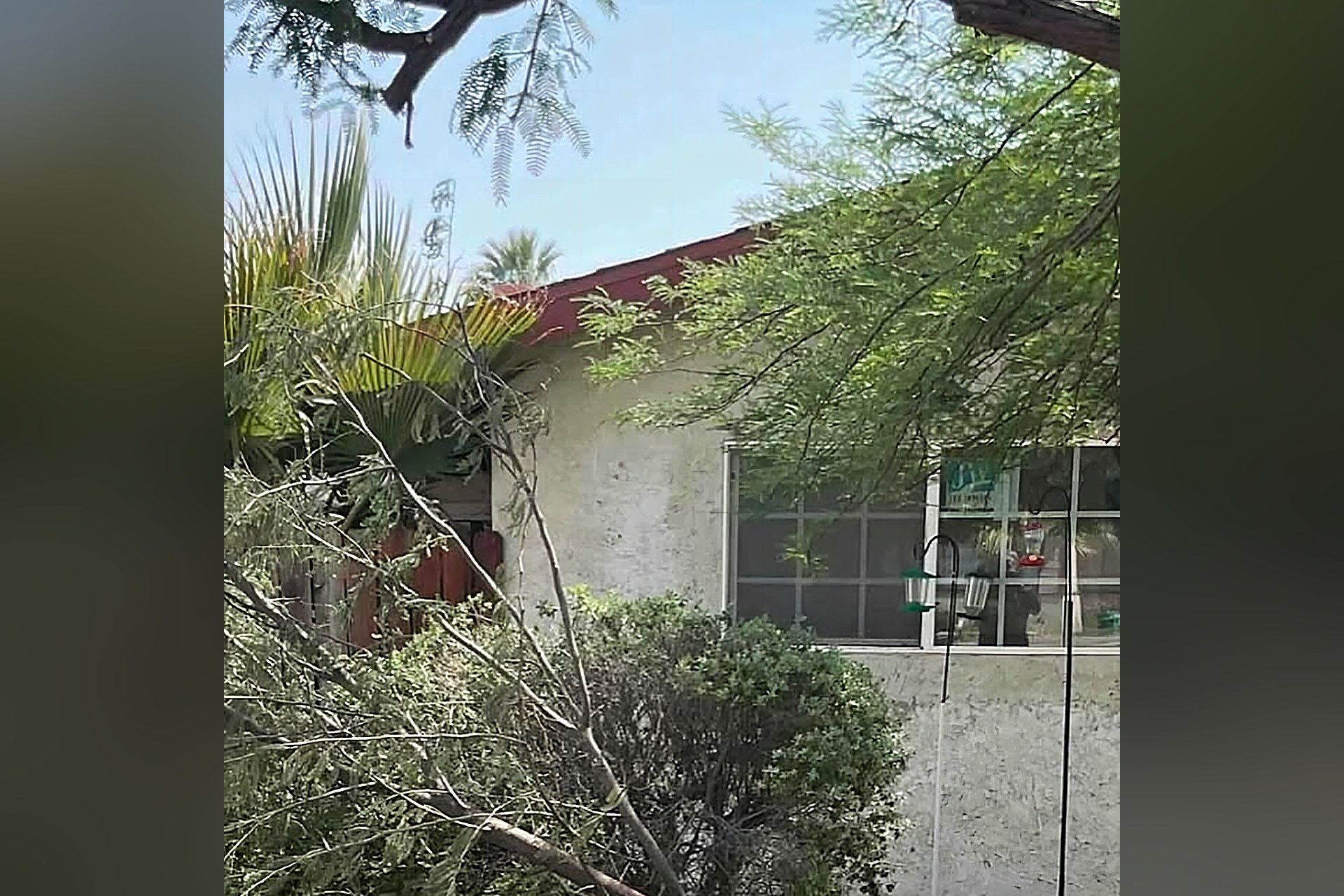 Single story desert home with palm trees